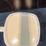 Rothmans jug Image 6