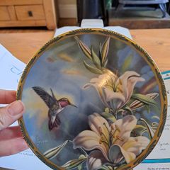 Ruby-throated hummingbird Plate