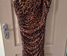 Zara Leopard Print Dress