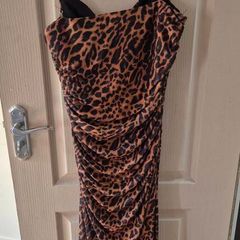 Zara Leopard Print Dress