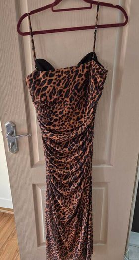 Zara Leopard Print Dress