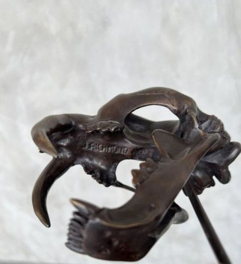 Sabre-Tooth Tiger Skull  - Bronze, Metal Stand, Signed