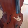 cello Image 3