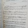 Vocal Score of Trial by Jury by W. S. Gilbert and Arthur Sullivan (HQ745) Image 4