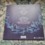 Chaser - Dreamers LP (punk) grey/marble coloured vinyl Image 3