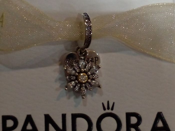 Pandora charm