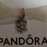 Pandora charm Image 2