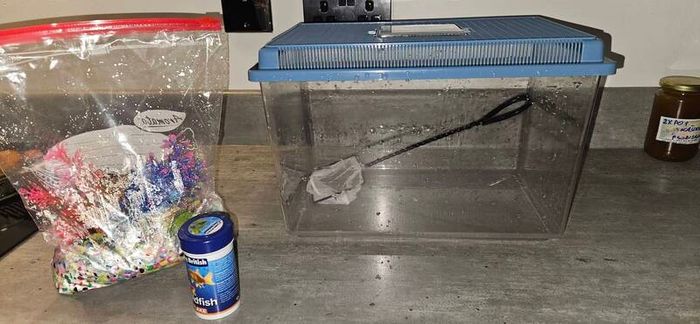fish tank