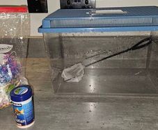 fish tank