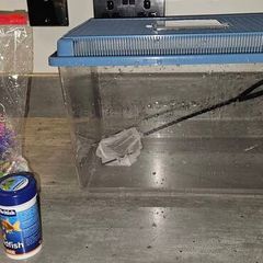 fish tank