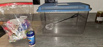 fish tank