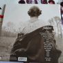 Taylor Swift - Folklore Image 2