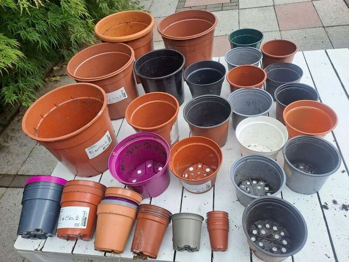 46 Plastic Plant Pots - all shapes and sizes