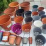 46 Plastic Plant Pots - all shapes and sizes Image 4