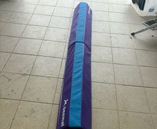 gymnastics