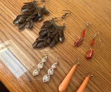 Earrings