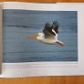 Photographic Book. Manitoba Seasons  In Beauty. Signed By The Author Robert R. Taylor. By R Image 6