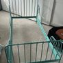 IKEA Minnen extendable toddler bed Image 4