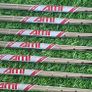 Brand New Titleist T300 Irons ( DOZEN PROVs FREE ) Image 7