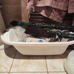 baby bath