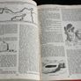 Vintage 1956 THE BIBLE AUTHORIZED Version, Rare Illustrated Bible, Fourth Impression Hard Cover, British & Foreign Bible Society, London Image 10