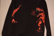 Dinosaur jumper