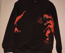 Dinosaur jumper