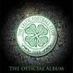 Celtic fan