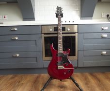 Paul Reed Smith SANTANA SE MkII electric guitar