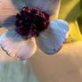 Vintage Royal Doulton bone china floral bouquet in a shell Image 9
