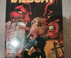 Dc comics. Batman/ Wildcat tpb