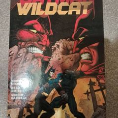 Dc comics. Batman/ Wildcat tpb