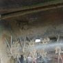 Mower Image 10