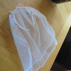 Bride to Be Veil for Sale
