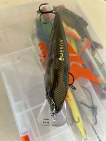 westin rawbite 17cm 100gr