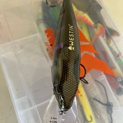 westin rawbite 17cm 100gr
