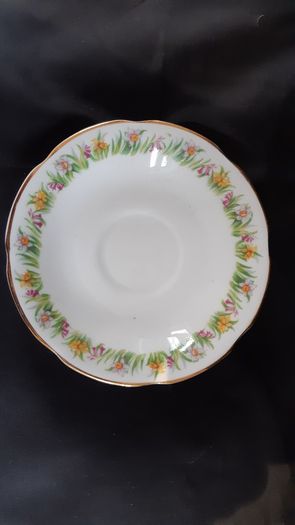 Regina/Royal Tara Tea Set 21 piece teaset