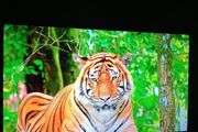 Lg 50" 4k Smart Tv (50um7450pla)
