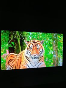 Lg 50" 4k Smart Tv (50um7450pla)