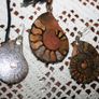 Shell fossil ,Necklace and earings Image 3