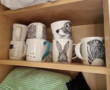 Cups