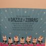 A Dazzle Of Zebras Story Book Image 4