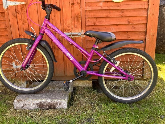 Apollo junior envy hybrid purple bike