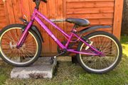 Apollo junior envy hybrid purple bike