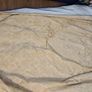 heavy curtains Image 4