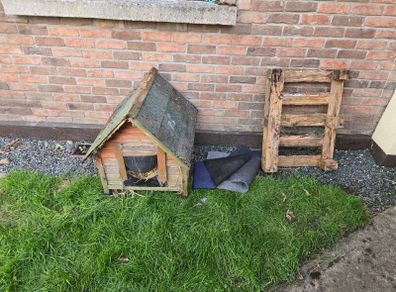Free kennel