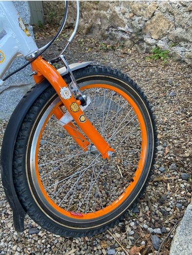 20 inch girls Raleigh bike