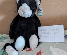 Jellycat Bashful Black & White Kitten BNWT