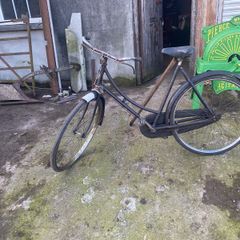 High nelly bikes for sale done deal hot sale