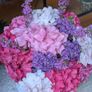 Hydrangea Image 4